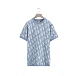 Dior Oblique T-Shirt, Normale Passform Blau