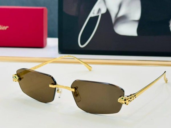 Panthère Sonnenbrille in geometrischer