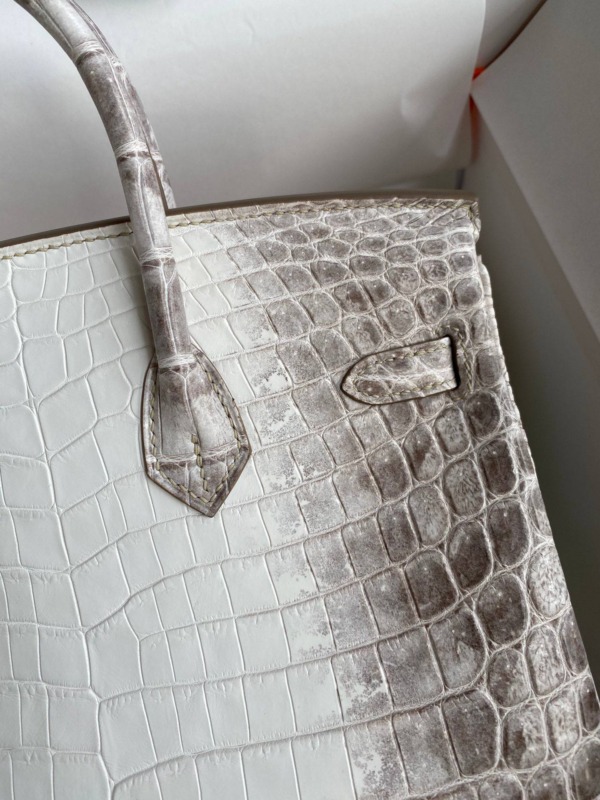 Himalaya Birkin 25