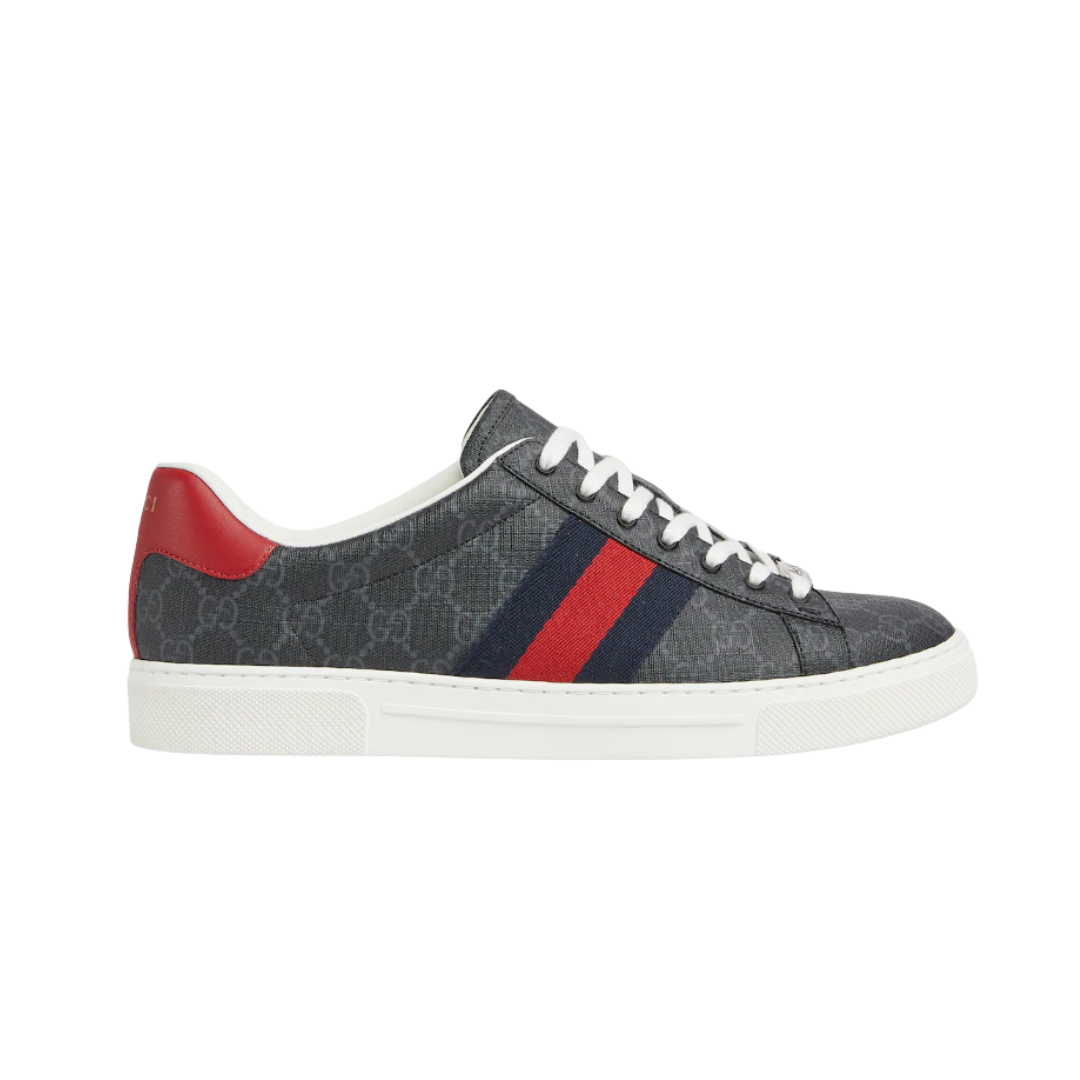 Ace trainer Schwarz GG Supreme Canvas