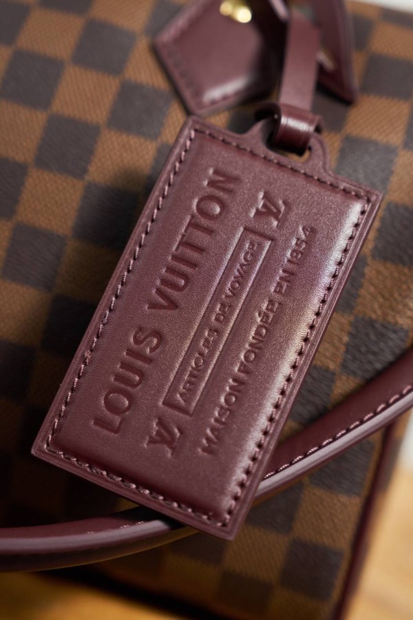Speedy Braun 25 cm Damier Ebène / Monogram Rouge
