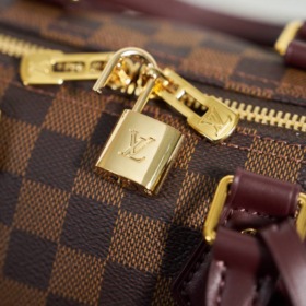 Speedy Braun 25 cm Damier Ebène / Monogram Rouge